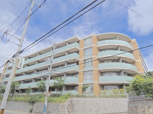 日当たり良好 日当たり良好
