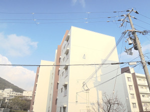 2021年1月撮影 2021年1月撮影